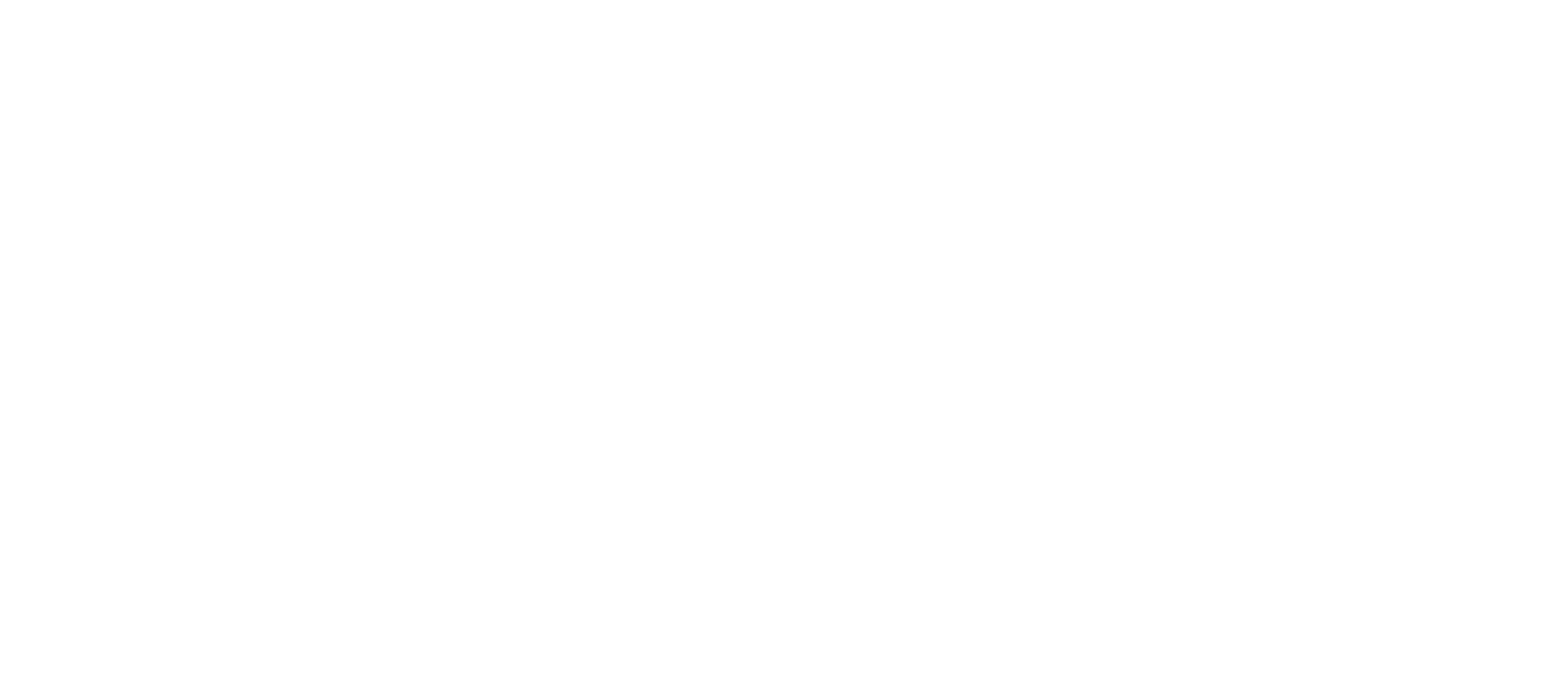 RAGEMAIDEN